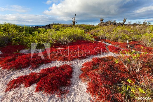 Bild på Galapagos islands